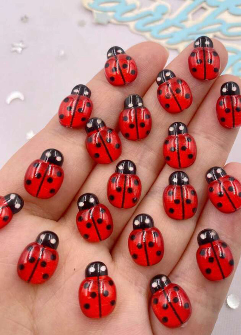 Charms coccinelle 🐞